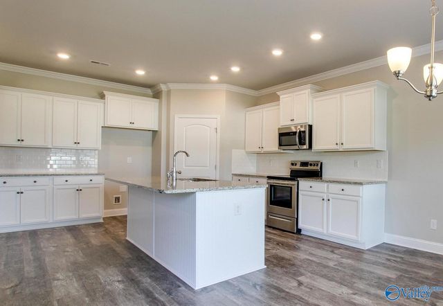 24228 Ransom Spring Drive, Athens, AL 35613
