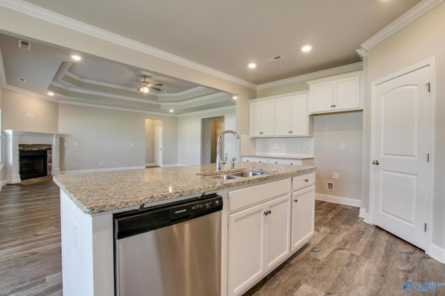 24228 Ransom Spring Drive, Athens, AL 35613