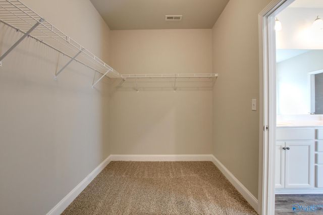 24228 Ransom Spring Drive, Athens, AL 35613