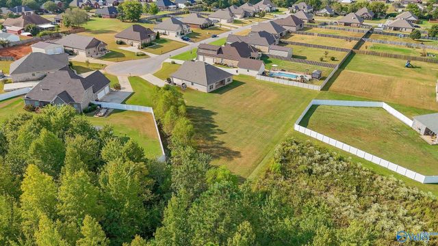 24228 Ransom Spring Drive, Athens, AL 35613