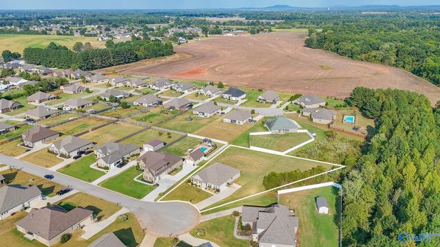 24228 Ransom Spring Drive, Athens, AL 35613