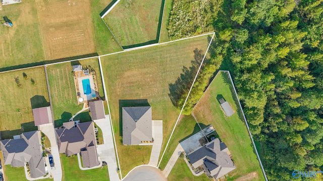 24228 Ransom Spring Drive, Athens, AL 35613