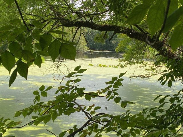 18651 Ogden Circle NW, Elk River, MN 55330