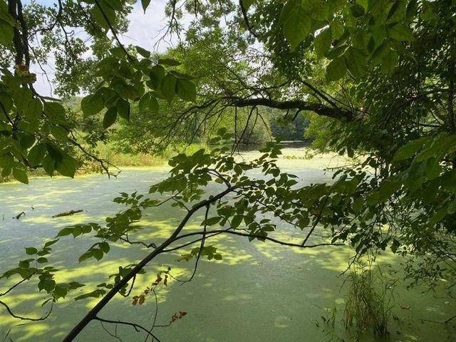 18651 Ogden Circle NW, Elk River, MN 55330