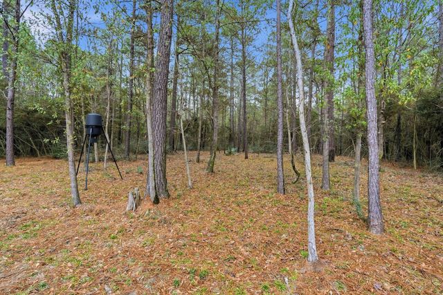 282 Red Hawk Road, Huntsville, TX 77340