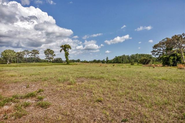 15884 CUTTING HORSE TRAIL, Myakka City, FL 34251