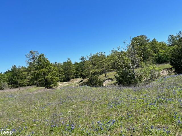 R13945 A0049J Peterson Tract 50 Acres, Anderson, TX 77830