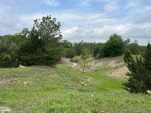 R13945 A0049J Peterson Tract 50 Acres, Anderson, TX 77830