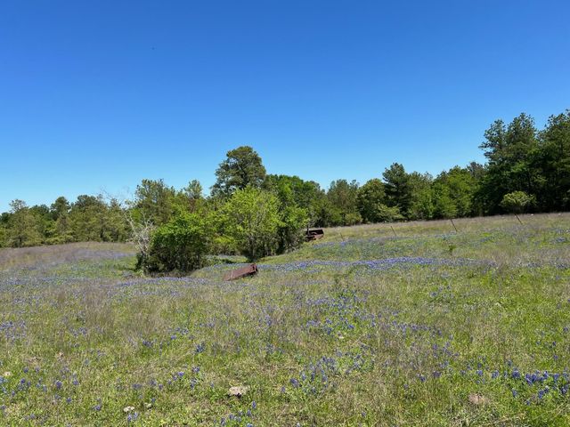 R13945 A0049J Peterson Tract 50 Acres, Anderson, TX 77830