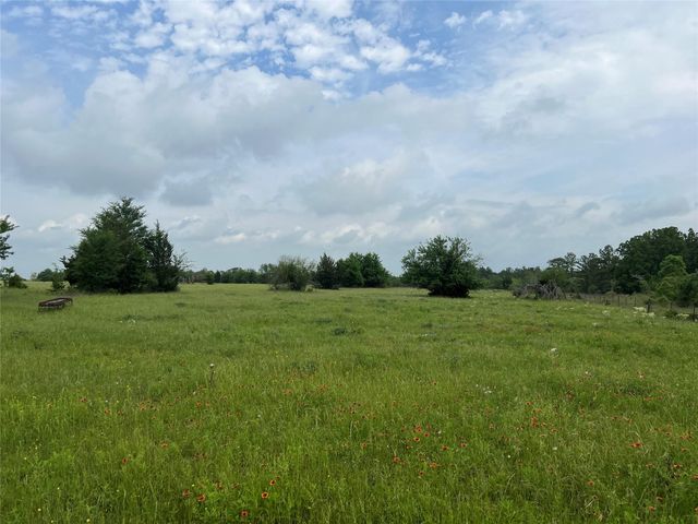 R13945 A0049J Peterson Tract 50 Acres, Anderson, TX 77830