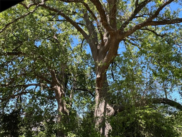 R13945 A0049J Peterson Tract 50 Acres, Anderson, TX 77830