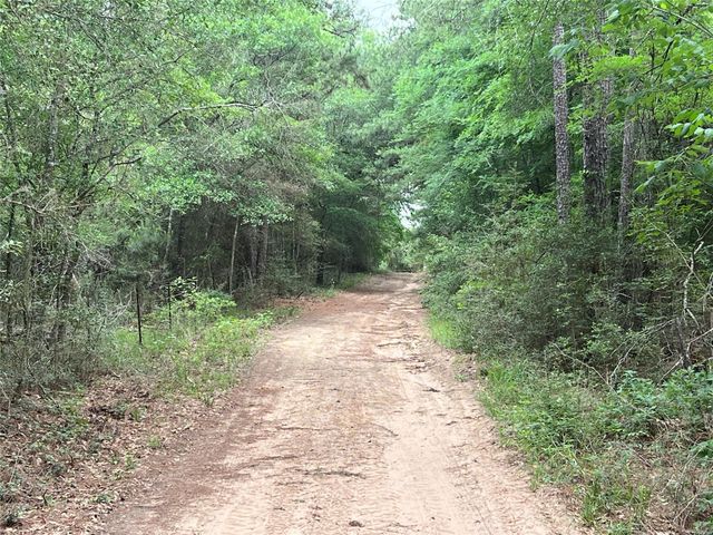 R13945 A0049J Peterson Tract 50 Acres, Anderson, TX 77830