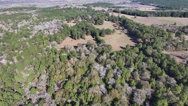 R13945 A0049J Peterson Tract 50 Acres, Anderson, TX 77830