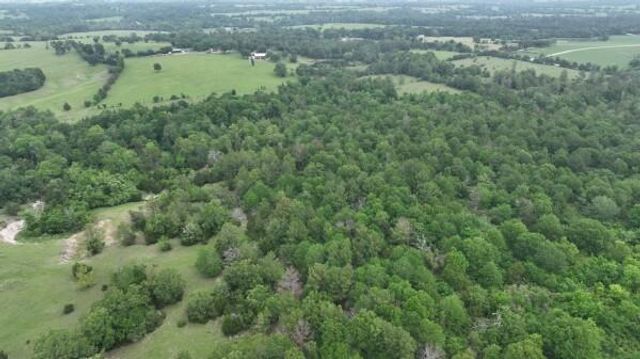 R13945 A0049J Peterson Tract 50 Acres, Anderson, TX 77830
