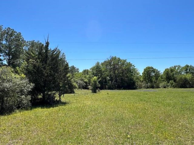 R13945 A0049J Peterson Tract 50 Acres, Anderson, TX 77830