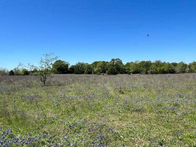 R13945 A0049J Peterson Tract 50 Acres, Anderson, TX 77830