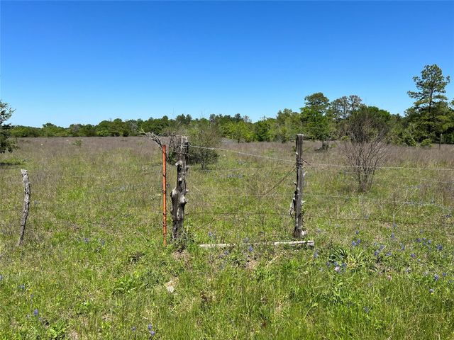 R13945 A0049J Peterson Tract 50 Acres, Anderson, TX 77830