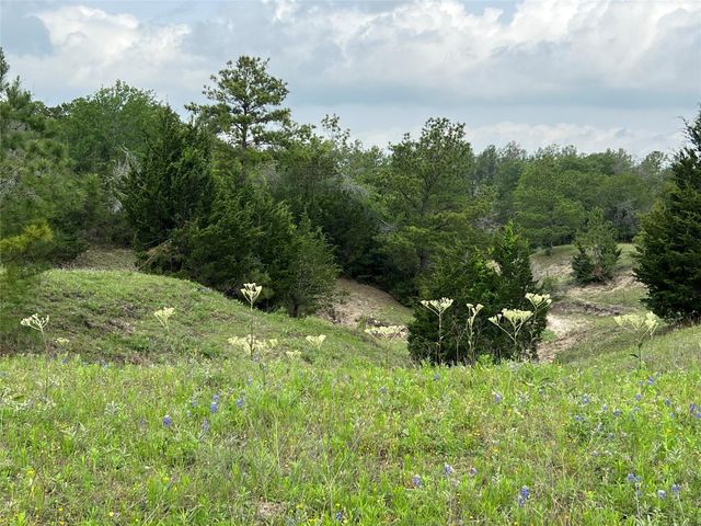 R13945 A0049J Peterson Tract 50 Acres, Anderson, TX 77830