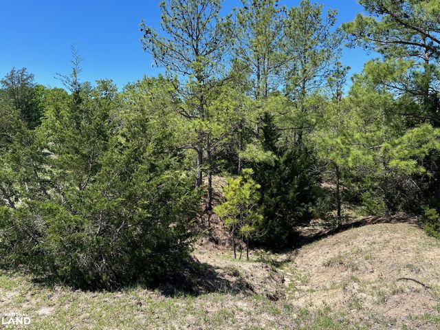 R13945 A0049J Peterson Tract 50 Acres, Anderson, TX 77830