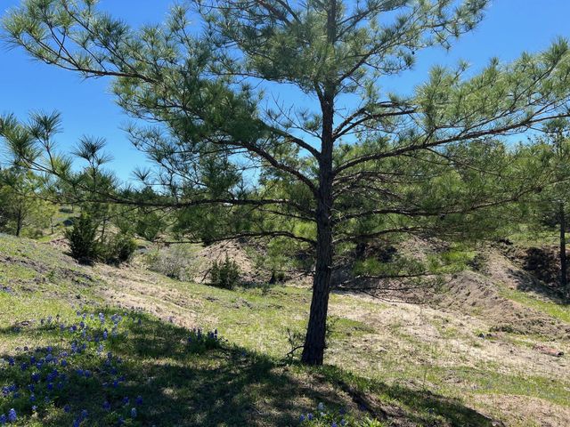 R13945 A0049J Peterson Tract 50 Acres, Anderson, TX 77830