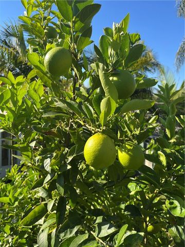 4862 Sevilla Way, Carlsbad, CA 92008