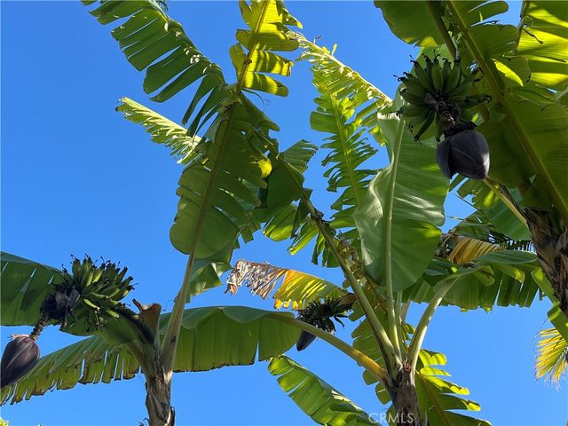 4862 Sevilla Way, Carlsbad, CA 92008