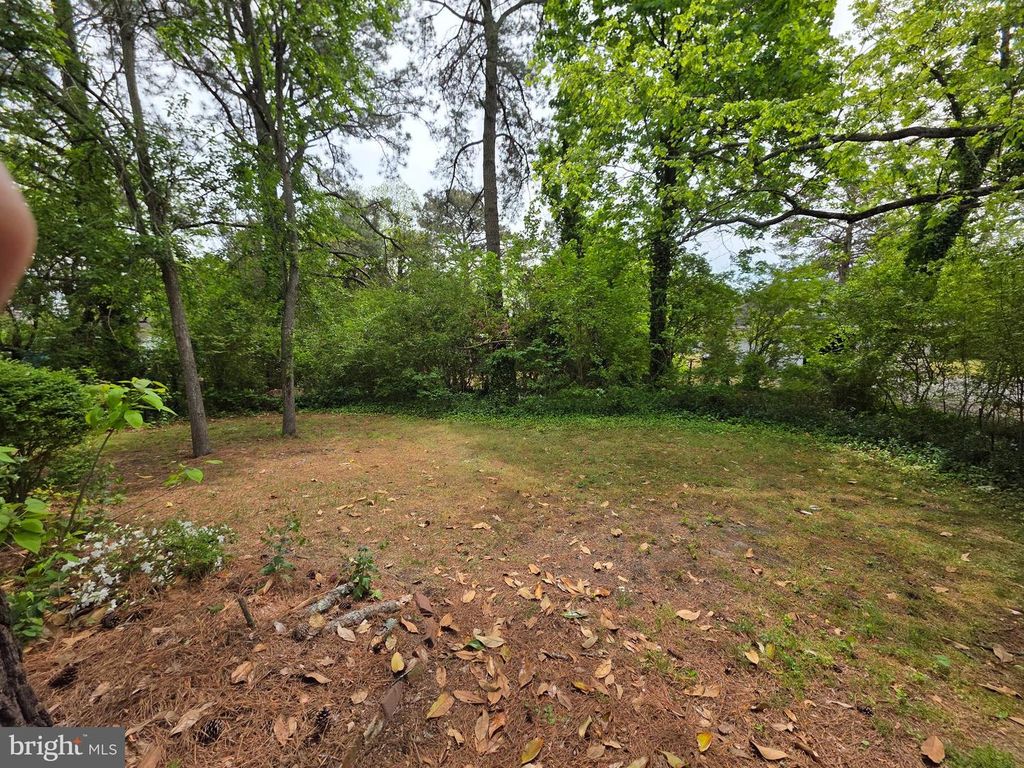 Image 50 of property listing at 105 FEDERAL ST, Snow Hill, MD 21863