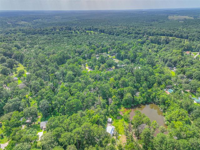 TBD Buckeye Lane, Point Blank, TX 77364