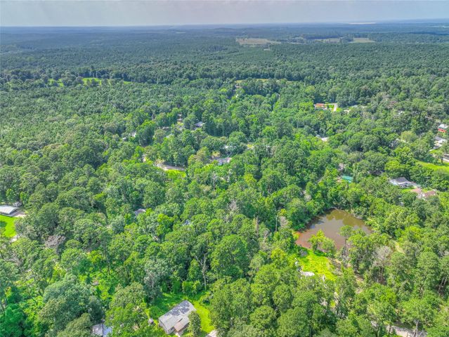 TBD Buckeye Lane, Point Blank, TX 77364