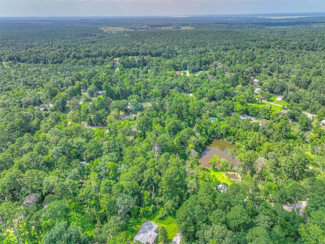 TBD Buckeye Lane, Point Blank, TX 77364