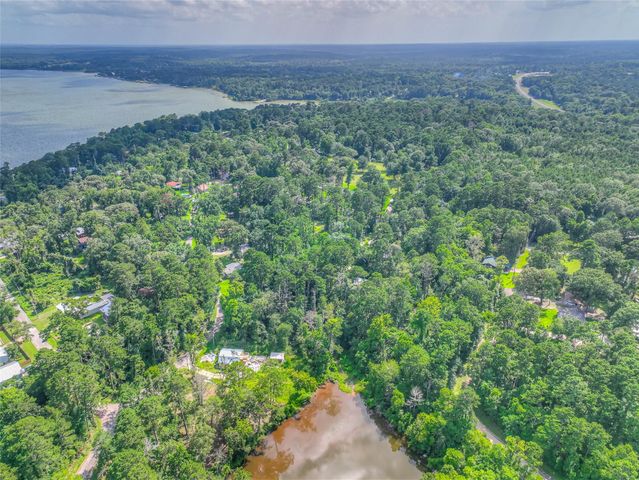 TBD Buckeye Lane, Point Blank, TX 77364