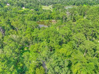 TBD Buckeye Lane, Point Blank, TX 77364