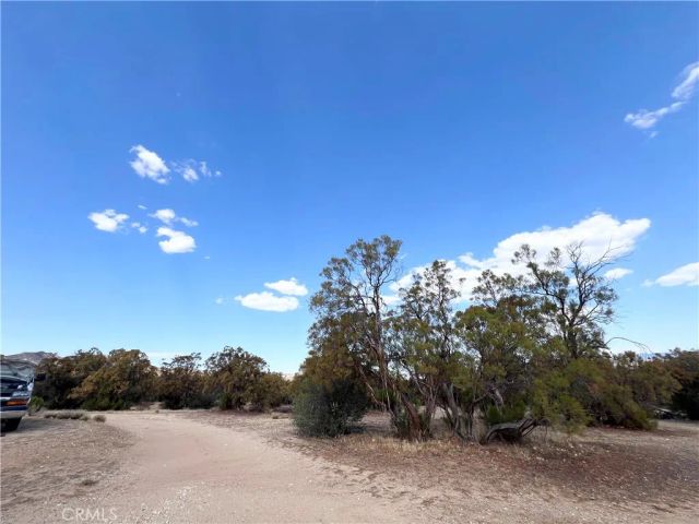 45080 Terwilliger, Anza, CA 92539
