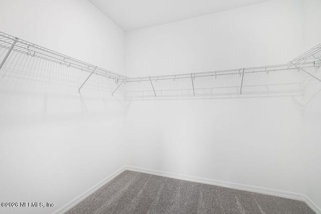 8137 ARCHIBALD Terrace, Jacksonville, FL 32219