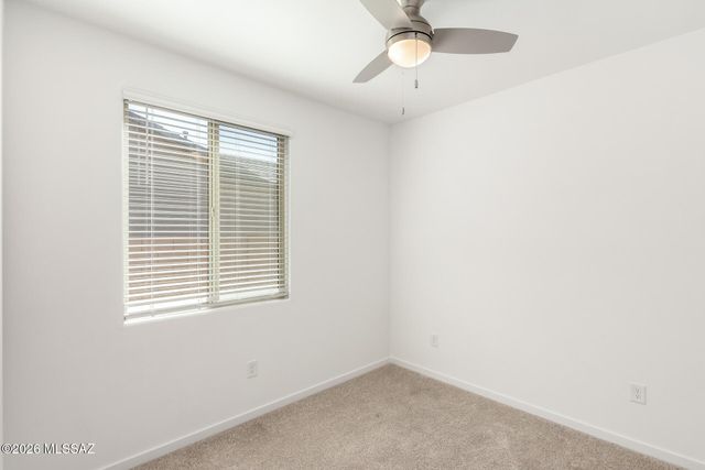 10703 W Walker Brown Drive, Marana, AZ 85653