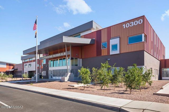 10703 W Walker Brown Drive, Marana, AZ 85653