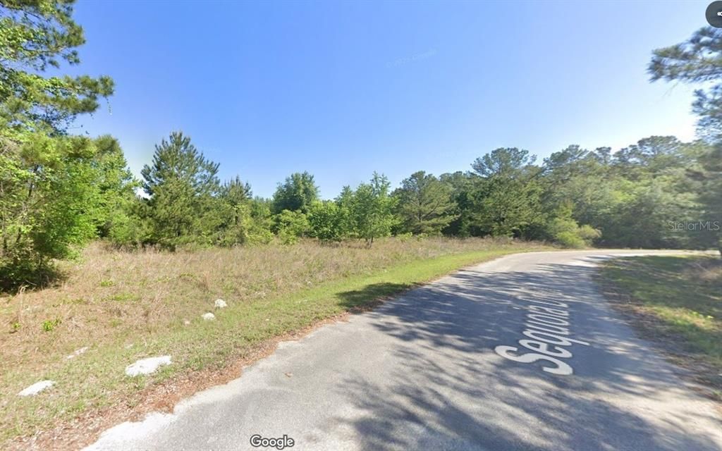 SEQUOIA DRIVE COURT, Ocklawaha, FL 32179
