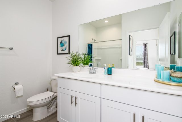 20580 N CONFETTI Court, Maricopa, AZ 85138