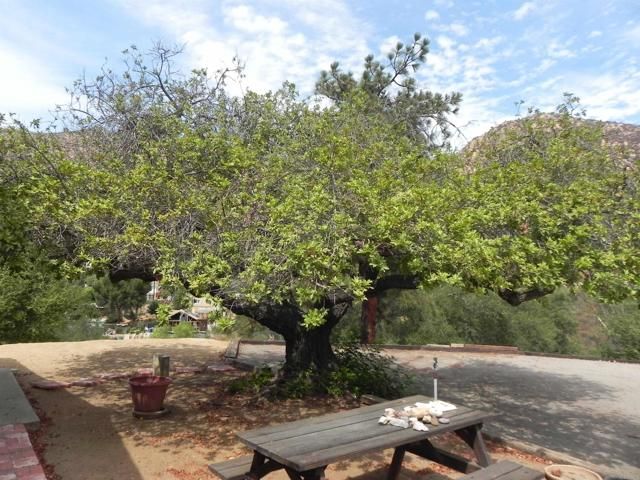 447 Patrick Drive, El Cajon, CA 92019