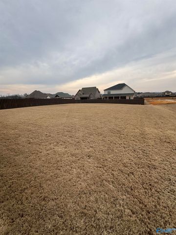 3011 Lisa Lane SE, Decatur, AL 35603