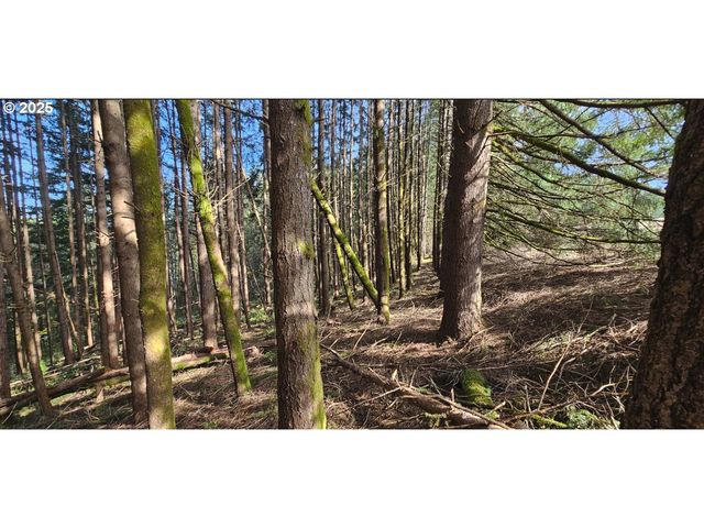 45035 Nw STAR St, Banks, OR 97106