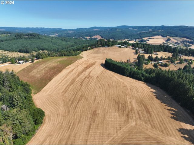 45035 Nw STAR St, Banks, OR 97106