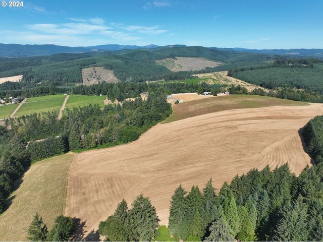 45035 Nw STAR St, Banks, OR 97106