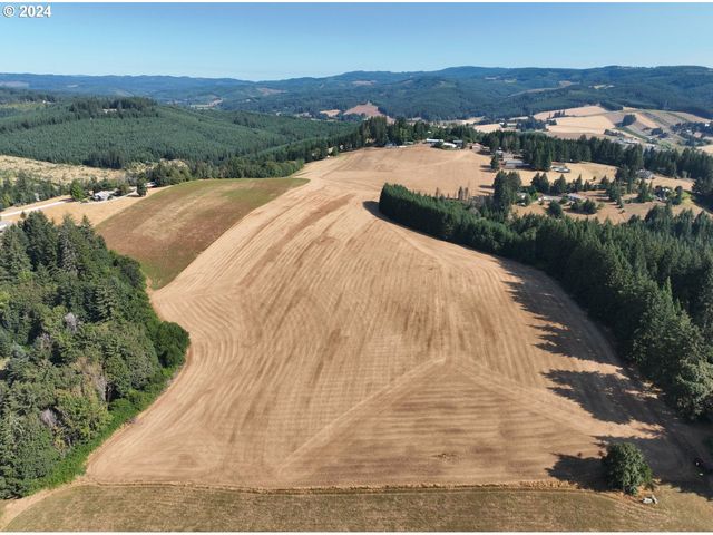 45035 Nw STAR St, Banks, OR 97106