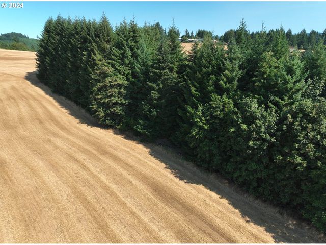 45035 Nw STAR St, Banks, OR 97106