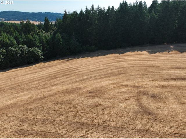 45035 Nw STAR St, Banks, OR 97106