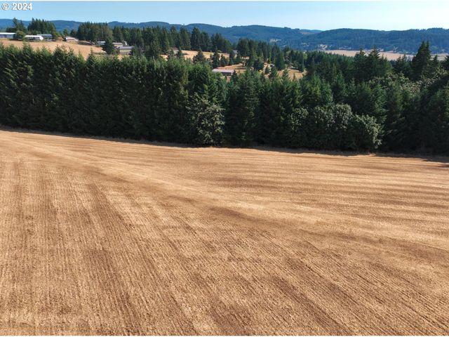 45035 Nw STAR St, Banks, OR 97106