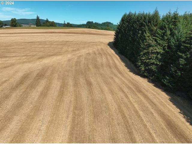 45035 Nw STAR St, Banks, OR 97106