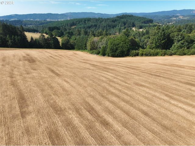 45035 Nw STAR St, Banks, OR 97106