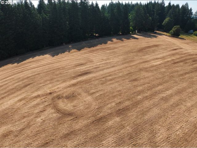 45035 Nw STAR St, Banks, OR 97106